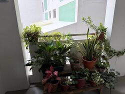 Blk 736 Jurong West Street 75 (Jurong West), HDB 5 Rooms #599212671